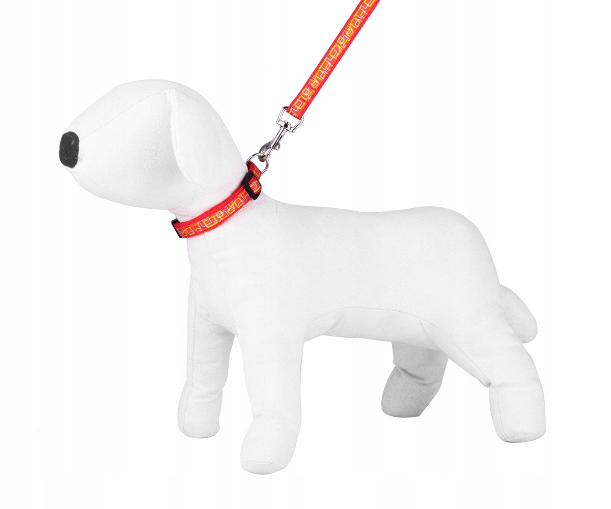 Set of leashes/collarsNT June.2.5cm SC44 Manufacturer code SC44