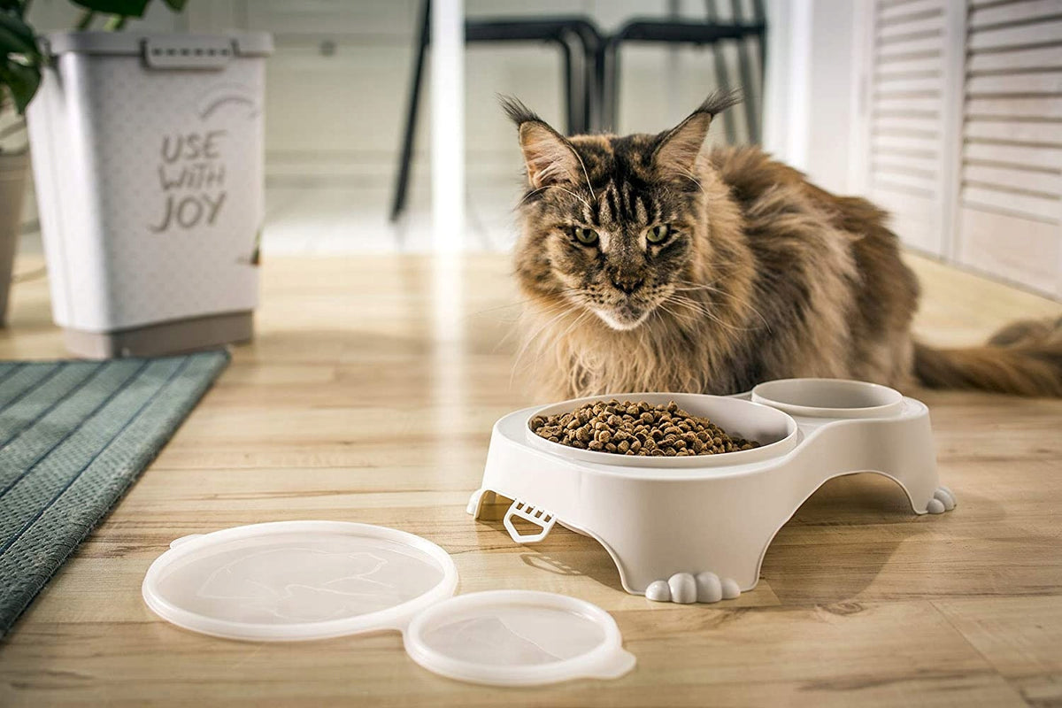 Set of two feeding bowls Rotho plastic 1280 ml Brand Rotho