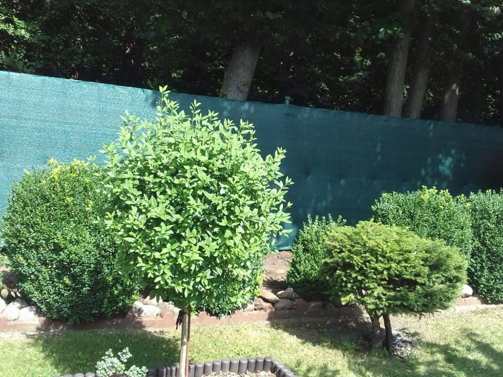 Shading net 90% Premium 140g +UV. Fence cover 1,5x50m Height 1.5 m