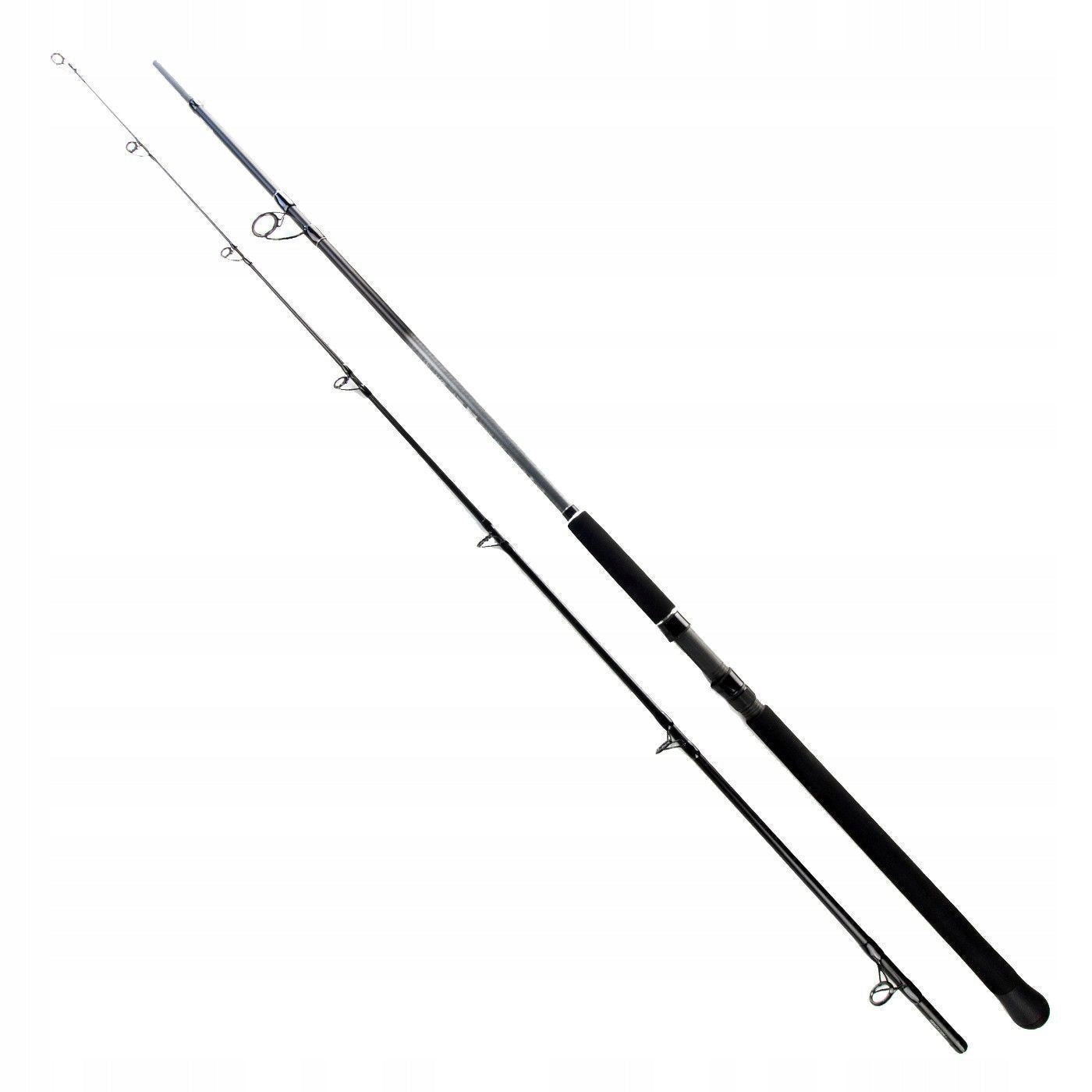 Shimano Beastmaster Catfish Lure 2.70m Up to 200g