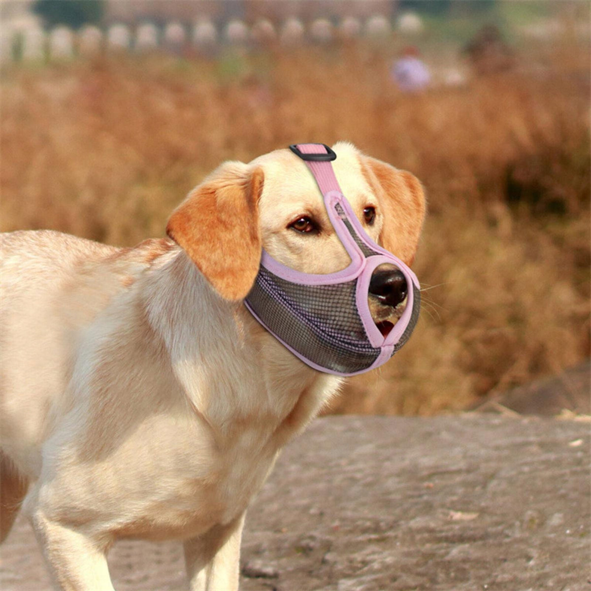 Short Snout muzzle Dog Breathable for Anti Training Chewing Blue L Manufacturer code 15264045839