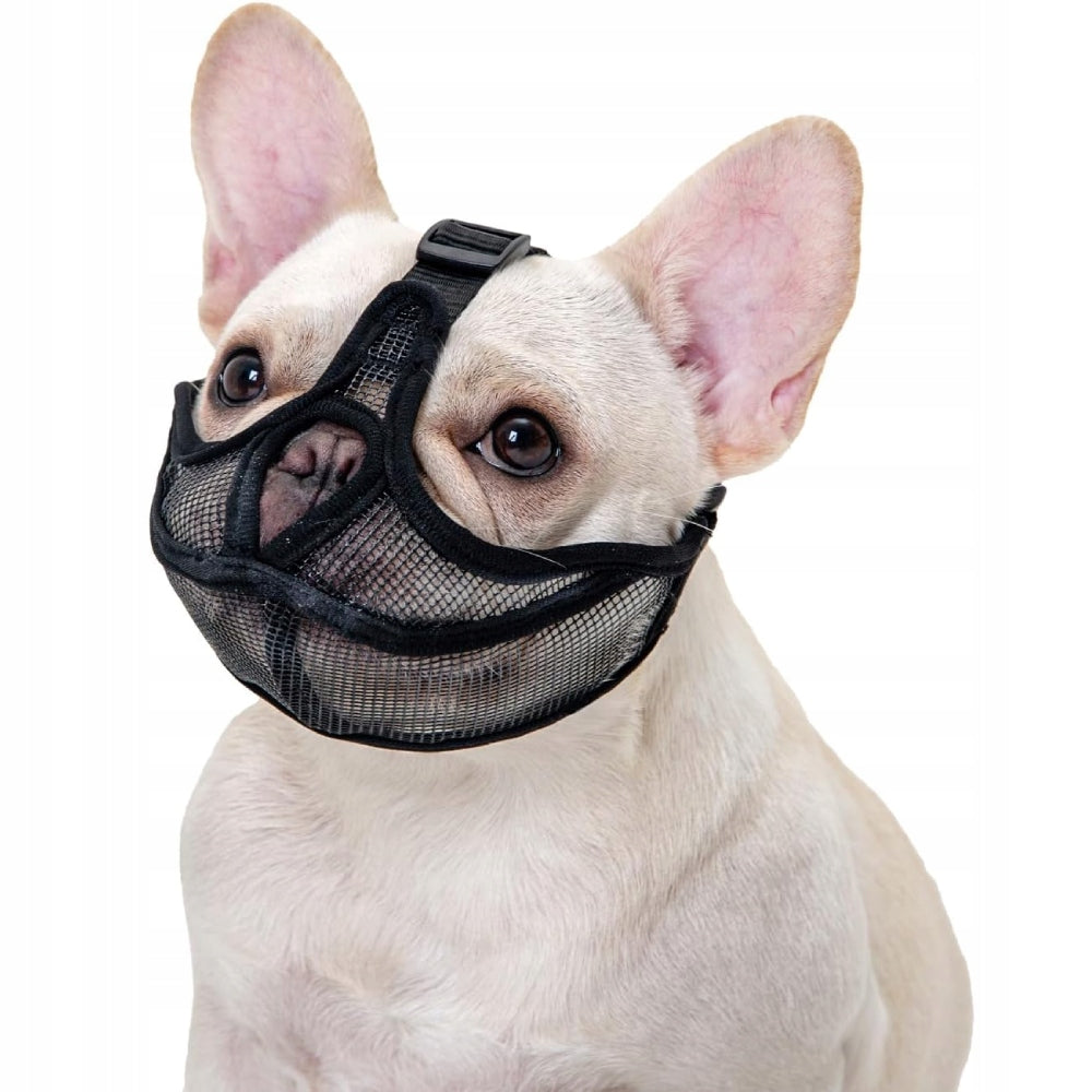 Short muzzle Bulldog/Pug Mesh Breathable Anti-Bite Regulation Black, M