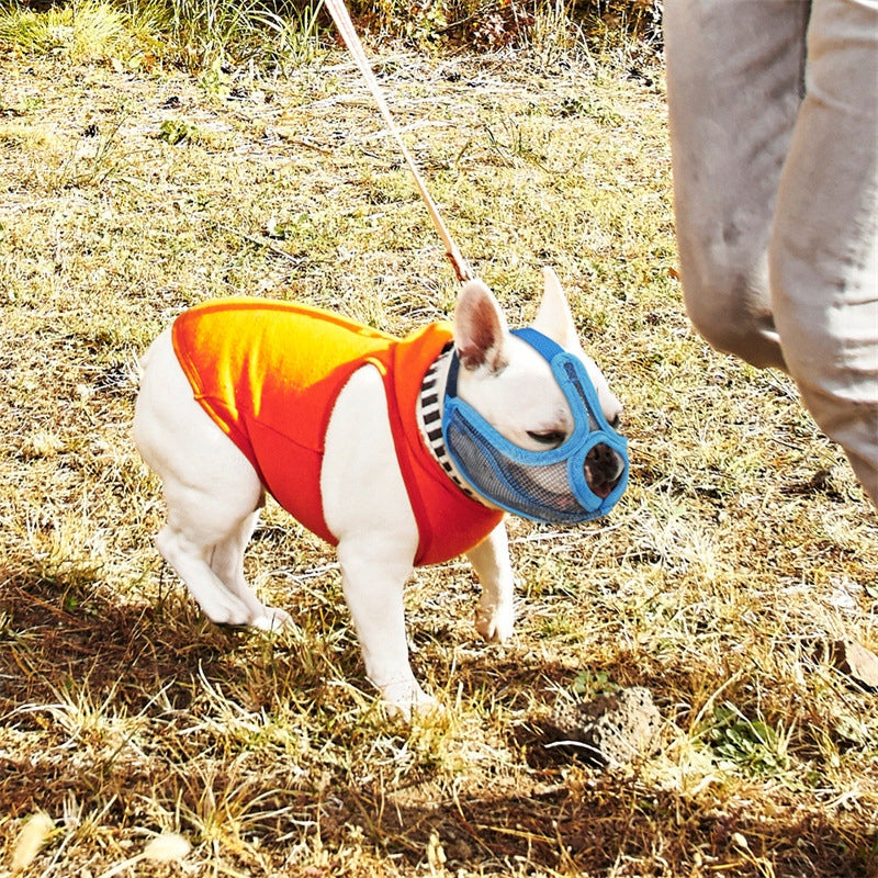 Short muzzle bulldog pug muzzle Blue S