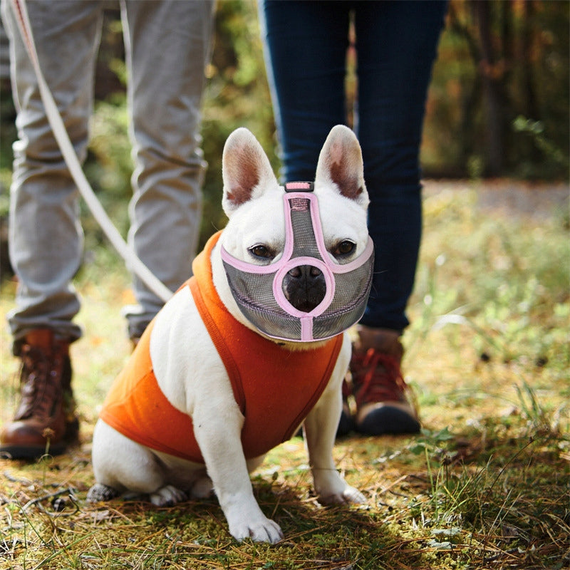 Short muzzle bulldog pug muzzle Pink S