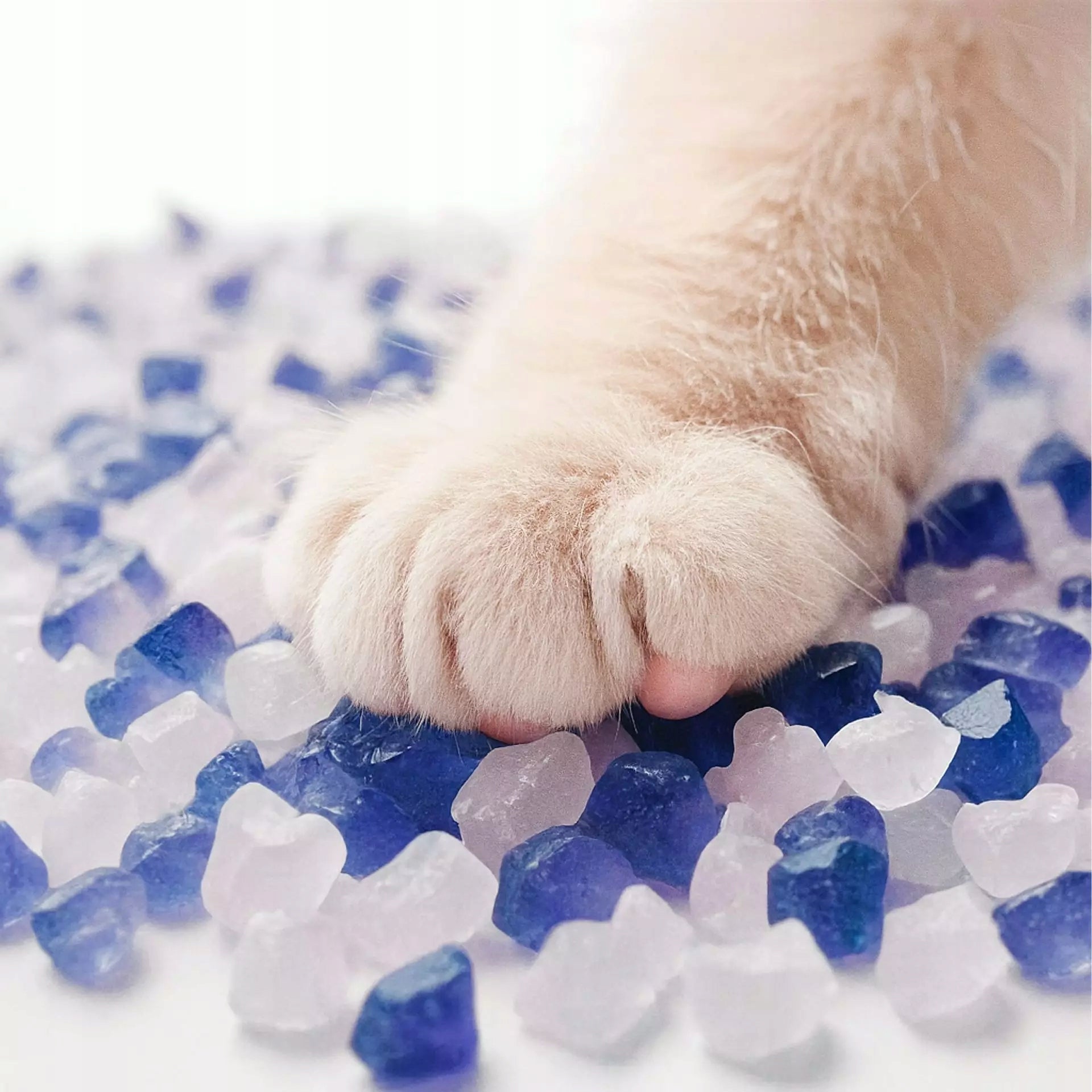 Silicone Litter for Cat for Cuvette 1,5kg Non-Clumping Dust-Free-Poj.3,8L Trade name żwirek