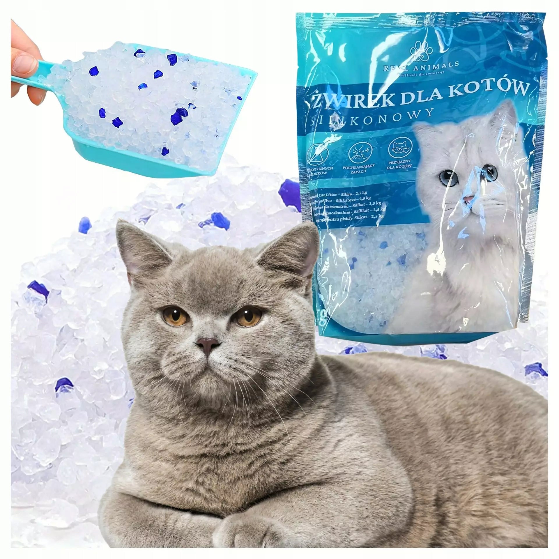 Silicone Litter for Cat for Cuvette 1,5kg Non-Clumping Dust-Free-Poj.3,8L