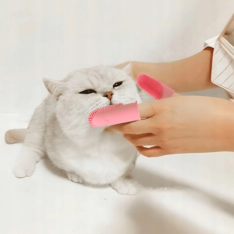Silicone brush head, cat safe toothbrush