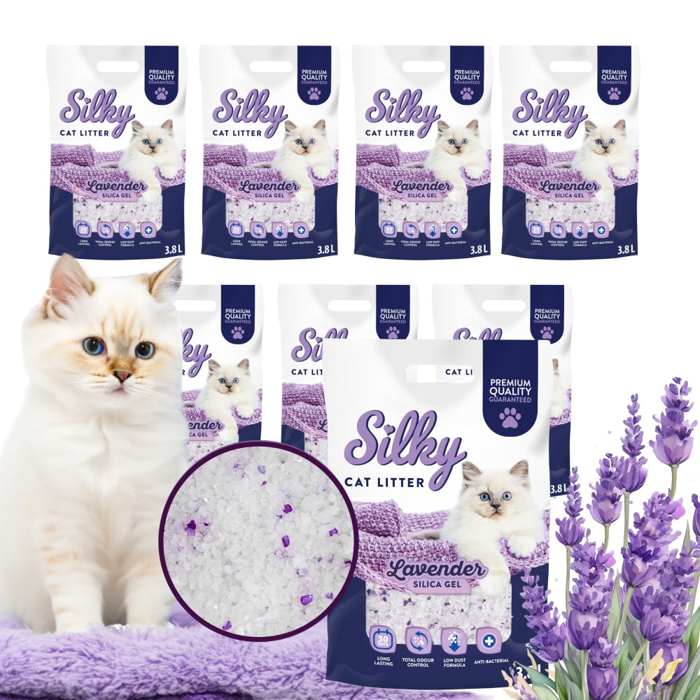 Silicone cat litter dust-free SILKY Lavender 3,8l set of 8