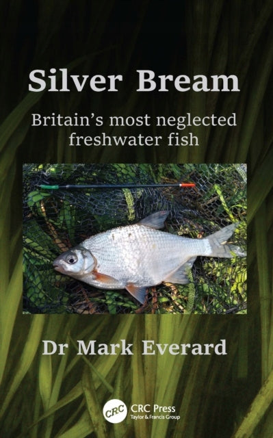 Silver Bream: Britain's most neglected freshwater fish