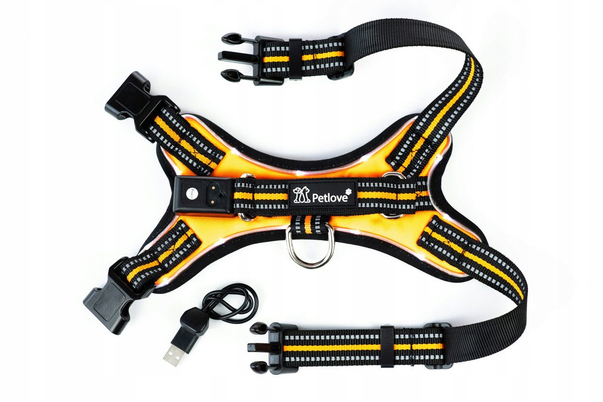 Single Harness LED Orange S Packaging status original