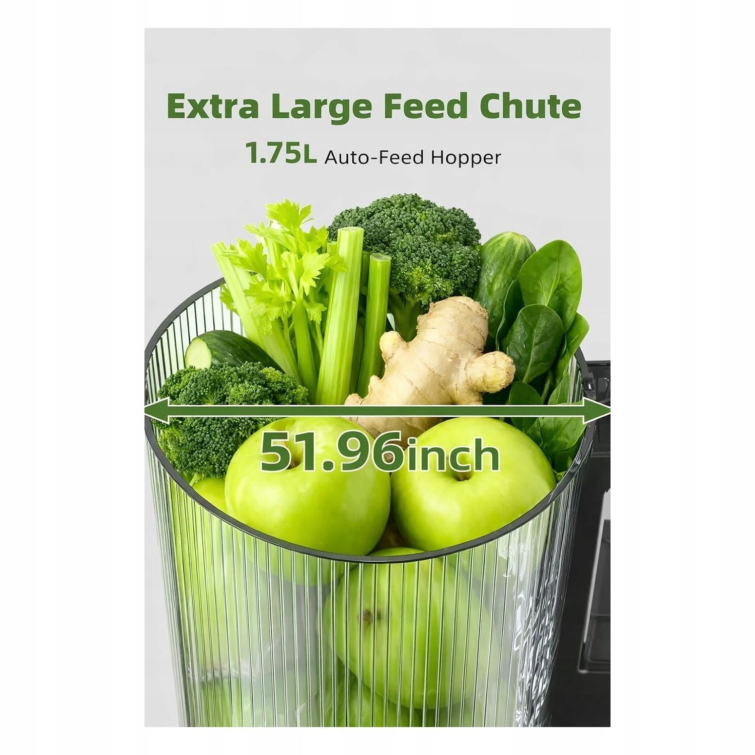 Slow-rotating fruit and vegetable juicer with wide opening for Brand no brand