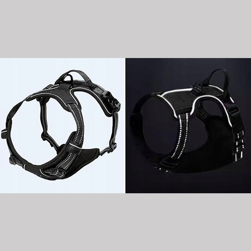 Small Dog BRACES PRESSURE-FREE black S 33-60cm Maltese York Color black