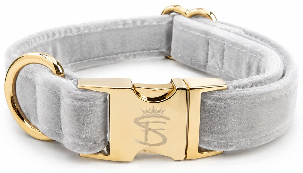 Small Dog Collar VELOUR Grey Adjustable Gold Buckle XS Premium
