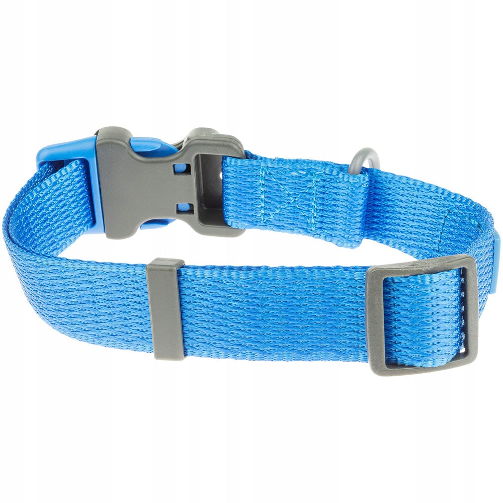 Small Dog Collar Webbing Buckle Ankle S Packaging status original