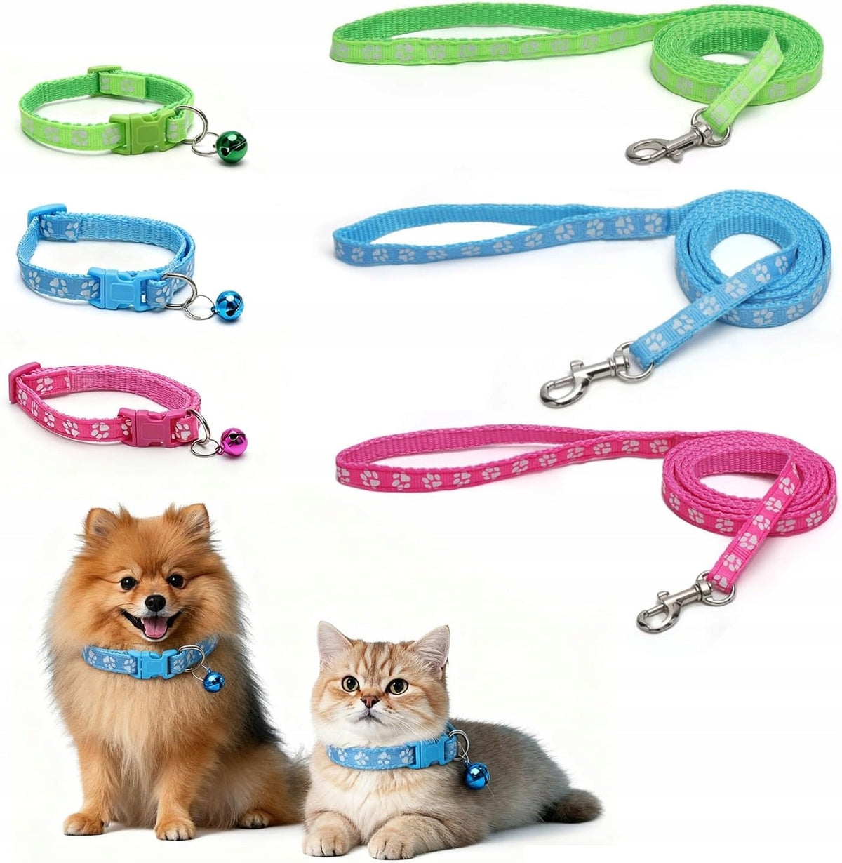 Small Dog Leash Lightweight Puppy Collar for