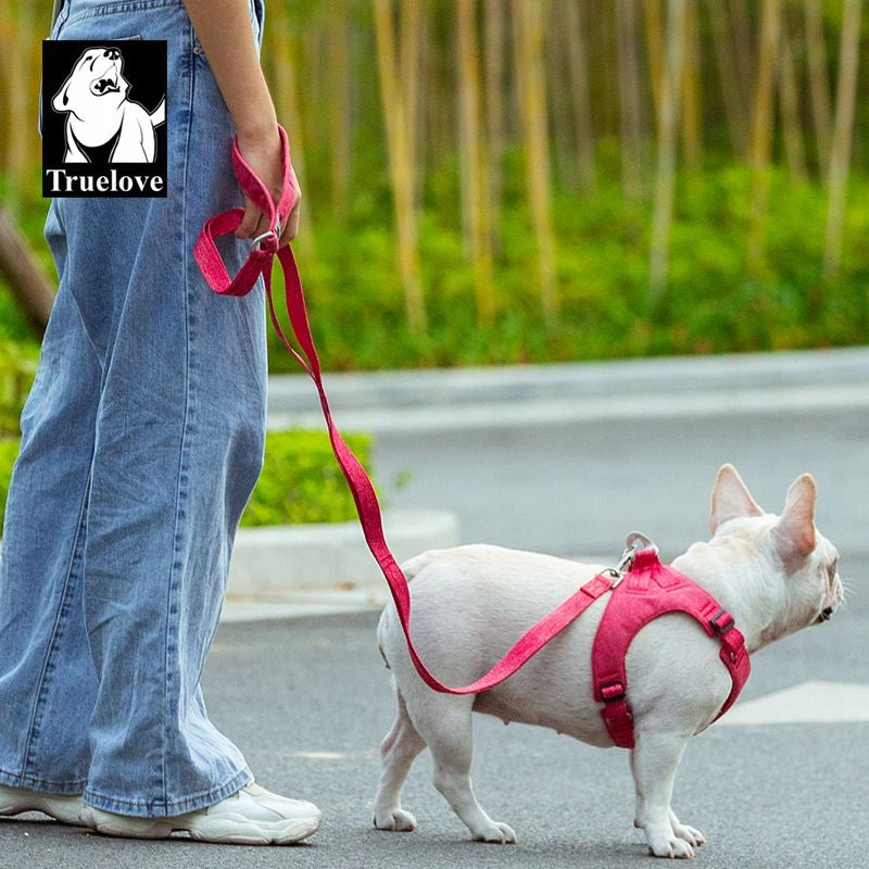 Small Dog LeashTruelove Wings Eco red Manufacturer code TL-SM-wings-eco-CZE