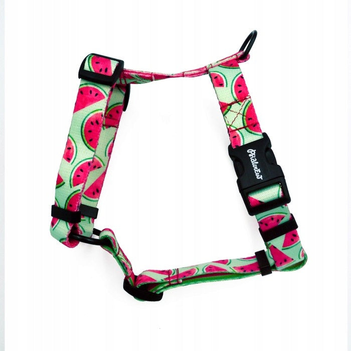 Small Harness for Dog Guard Watermelon S/M Packaging status original