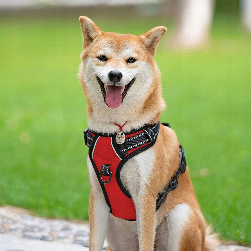 Small dog HARNESS PRESSURE-FREE red S 33-60cm Maltese York Manufacturer code TH02250909-S