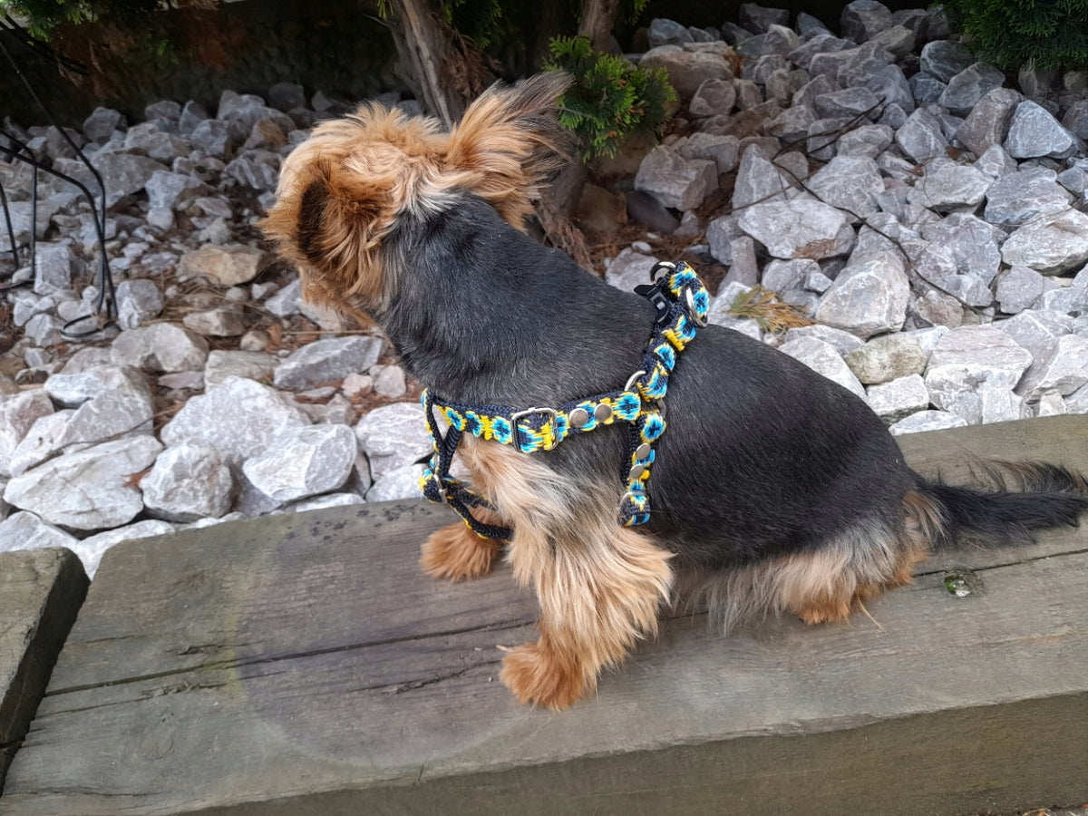 Small dog harness ML 25/47 decorative Sunka Ultra Brand Sunka