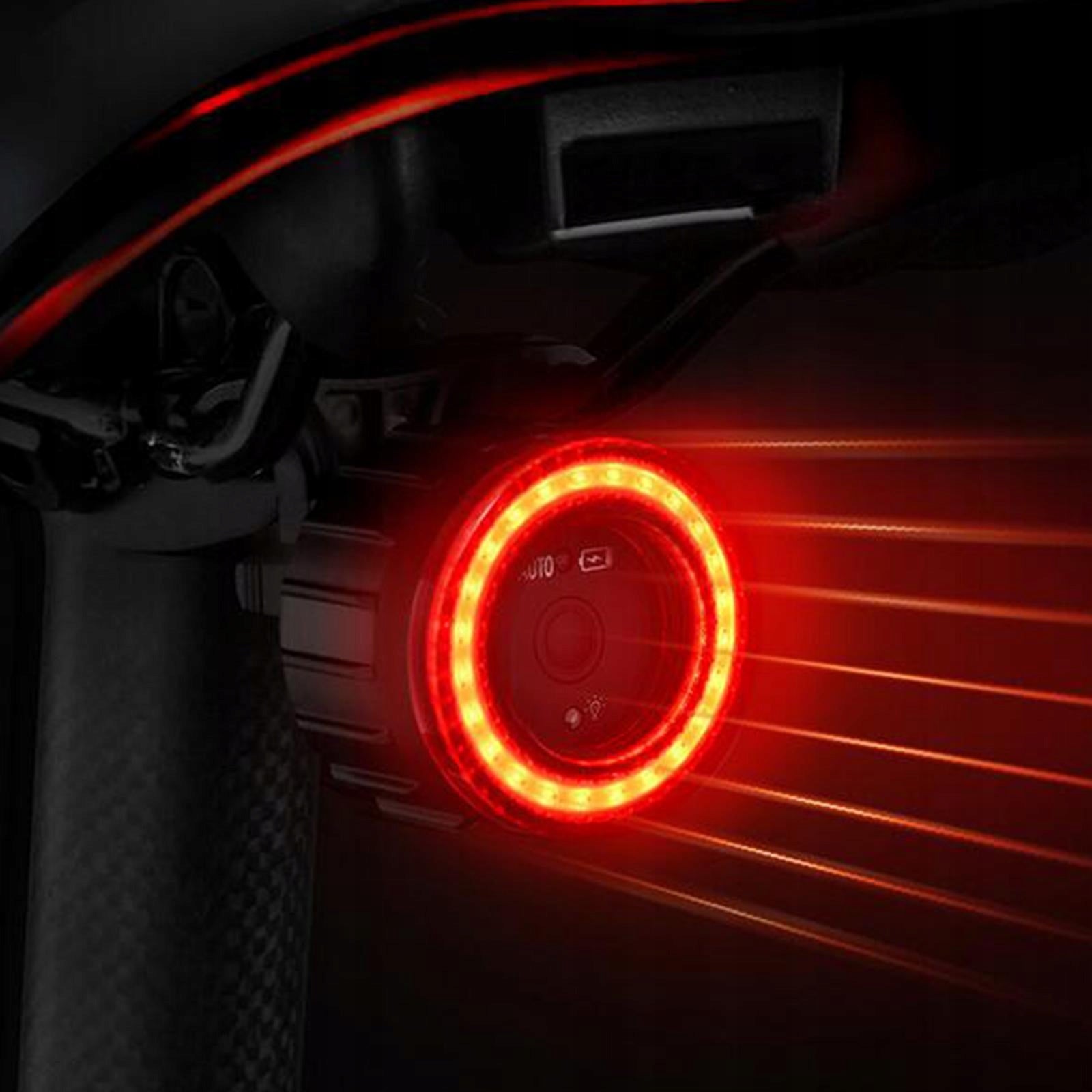 Smart Bike Tail Light Smart Brake Sensing Waterproof Auto Start&Stop 6 Power supply other