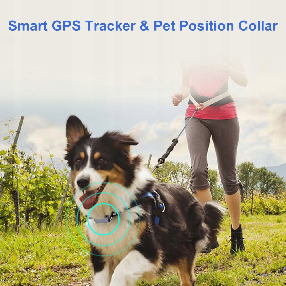 Smart GPS Locator Collar with Animal Position GSM Protection IP67 T Manufacturer code AG250908151470