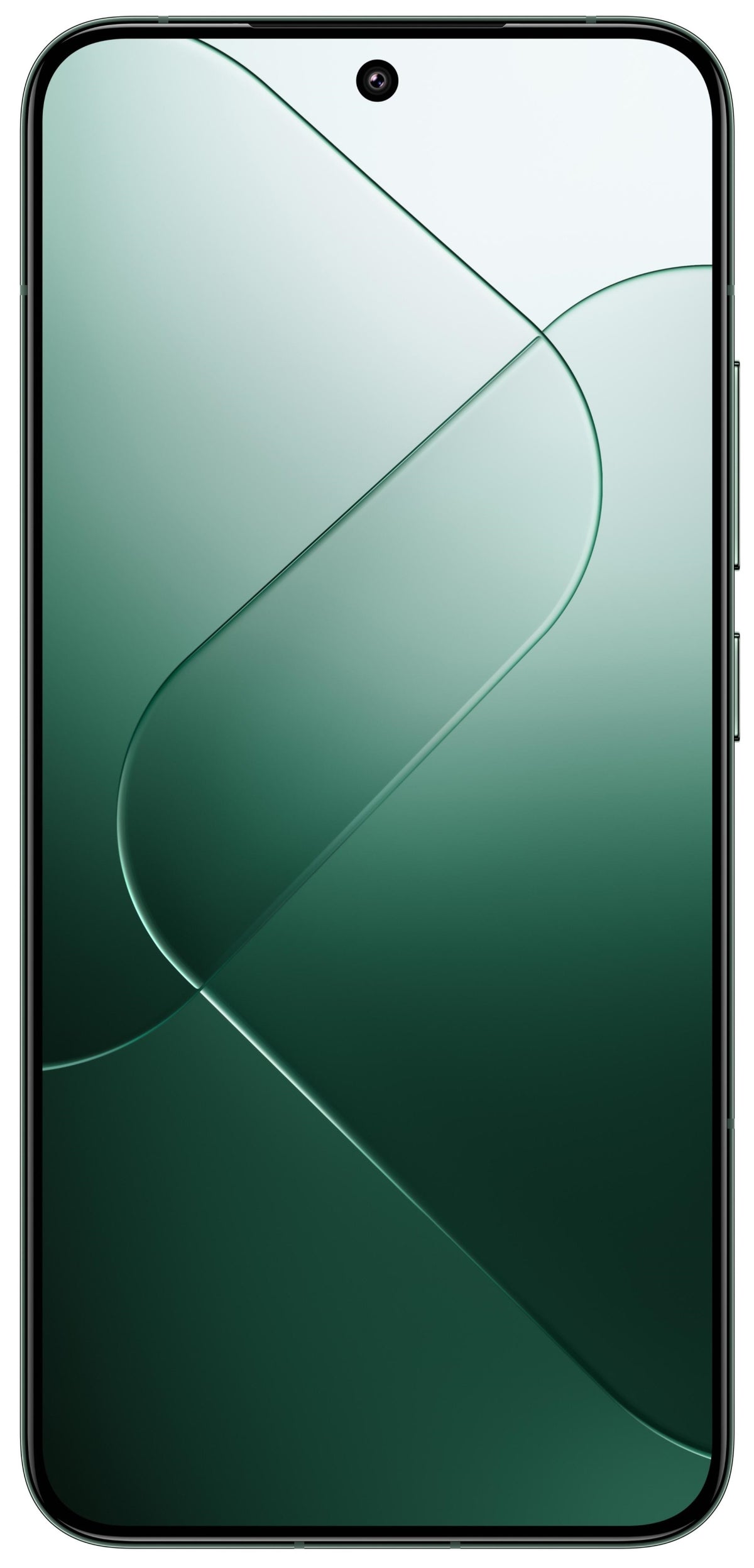Smartphone Xiaomi 14 12 GB /256 GB 5G green Brand Xiaomi