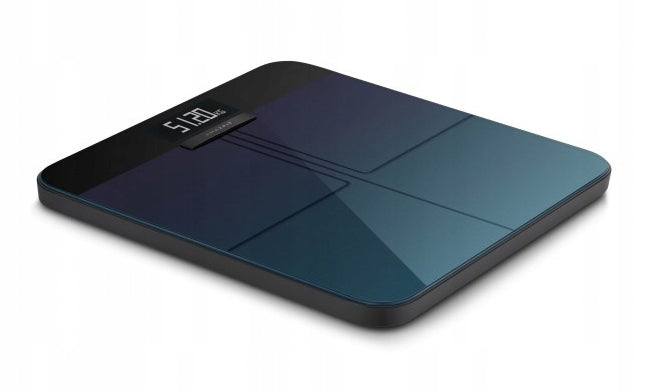 Amazfit GTS 4 Infinite Black + Smart Scale 