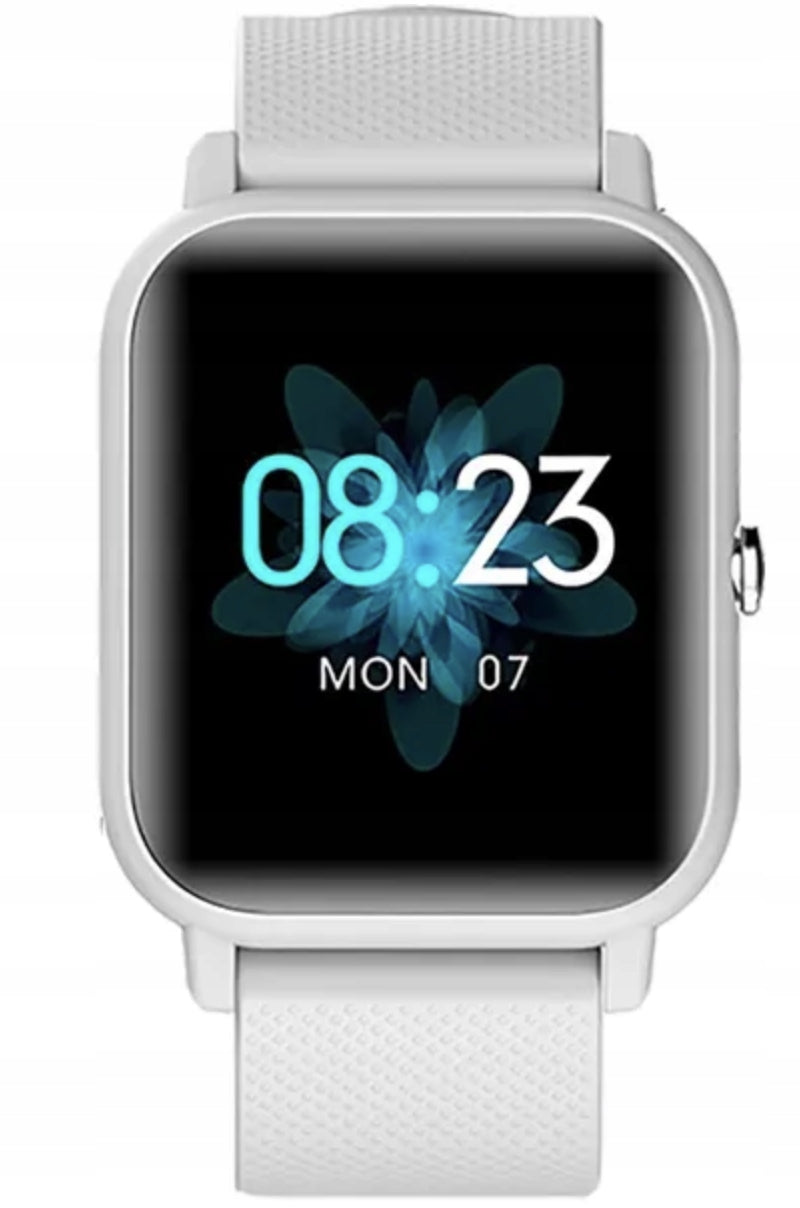 Smartwatch Blackview R3 grey Model other