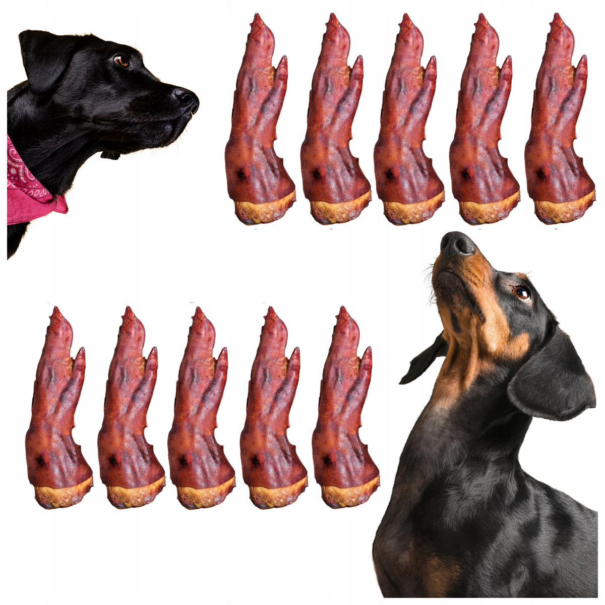 Smoked Leg for Dogs Dog Teether for Biting Premium Natural 10 pcs.