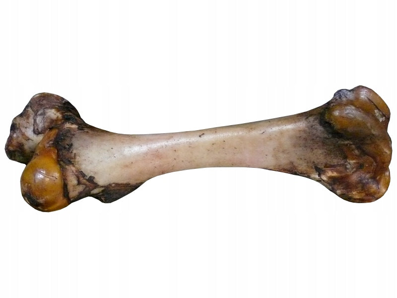 Smoked bone gun teether approx.33-45cm beef gun