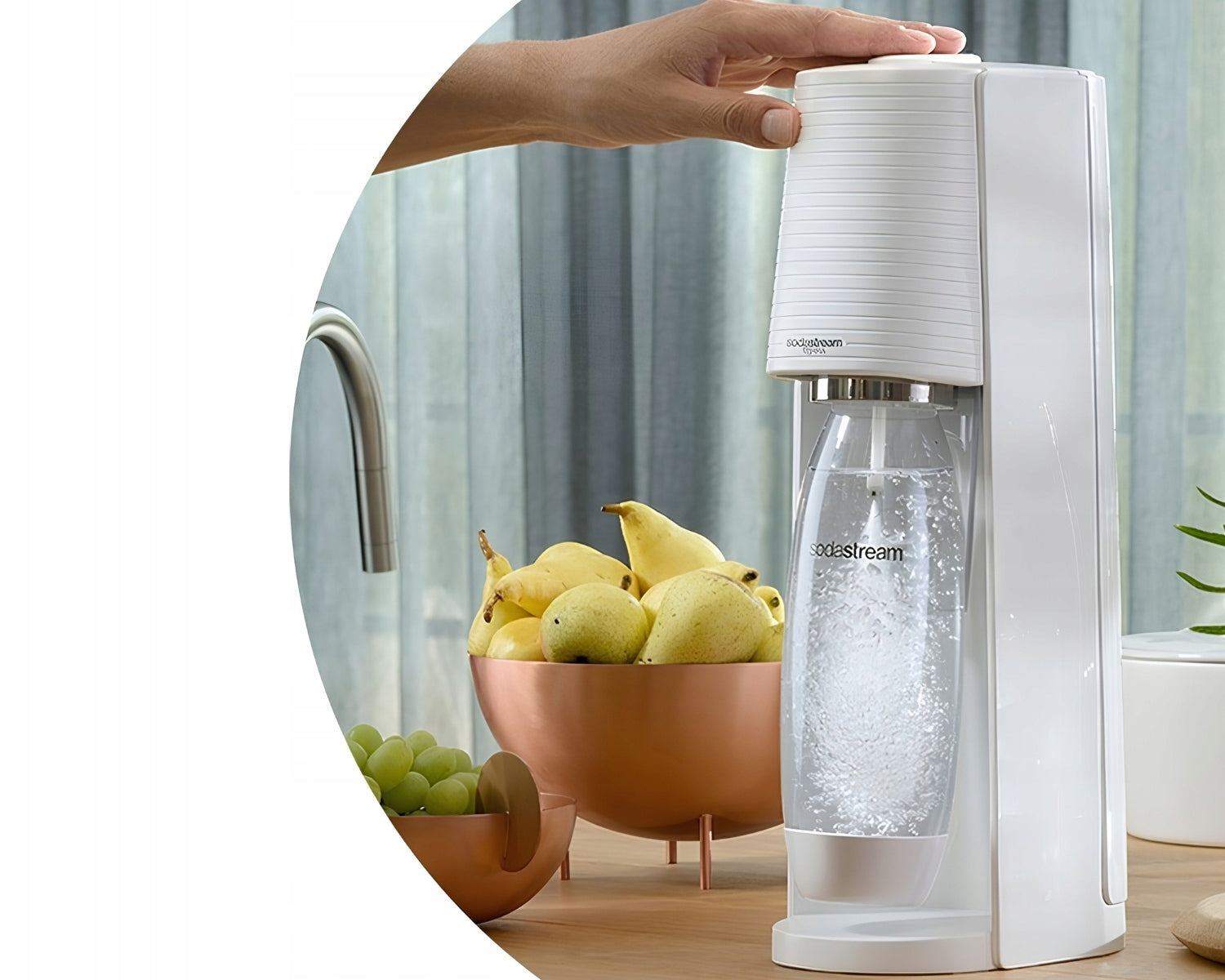 SodaStream TERRA Saturator for SODA WHITE + 3 BOTTLES + CO2 GAS Dominant color white