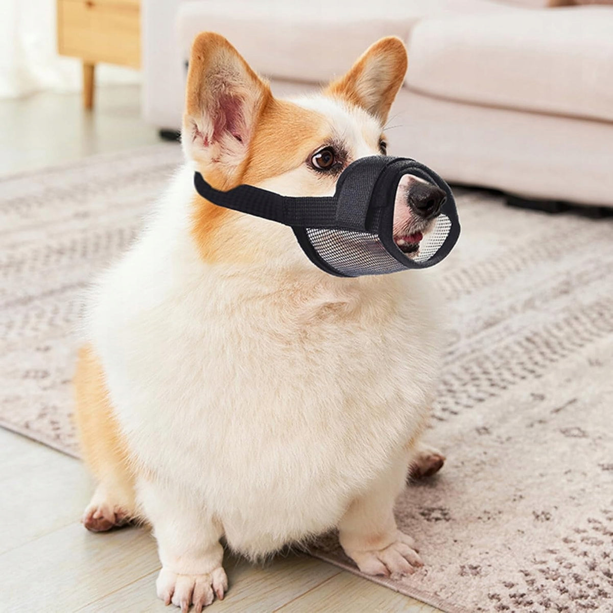 Soft muzzle for dog mesh breathable L Manufacturer code Qohawal-64048445