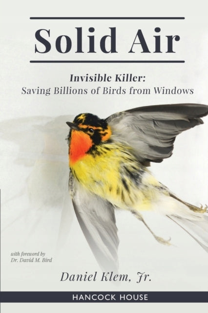 Solid Air: Invisible Killer- Saving Birds from Windows