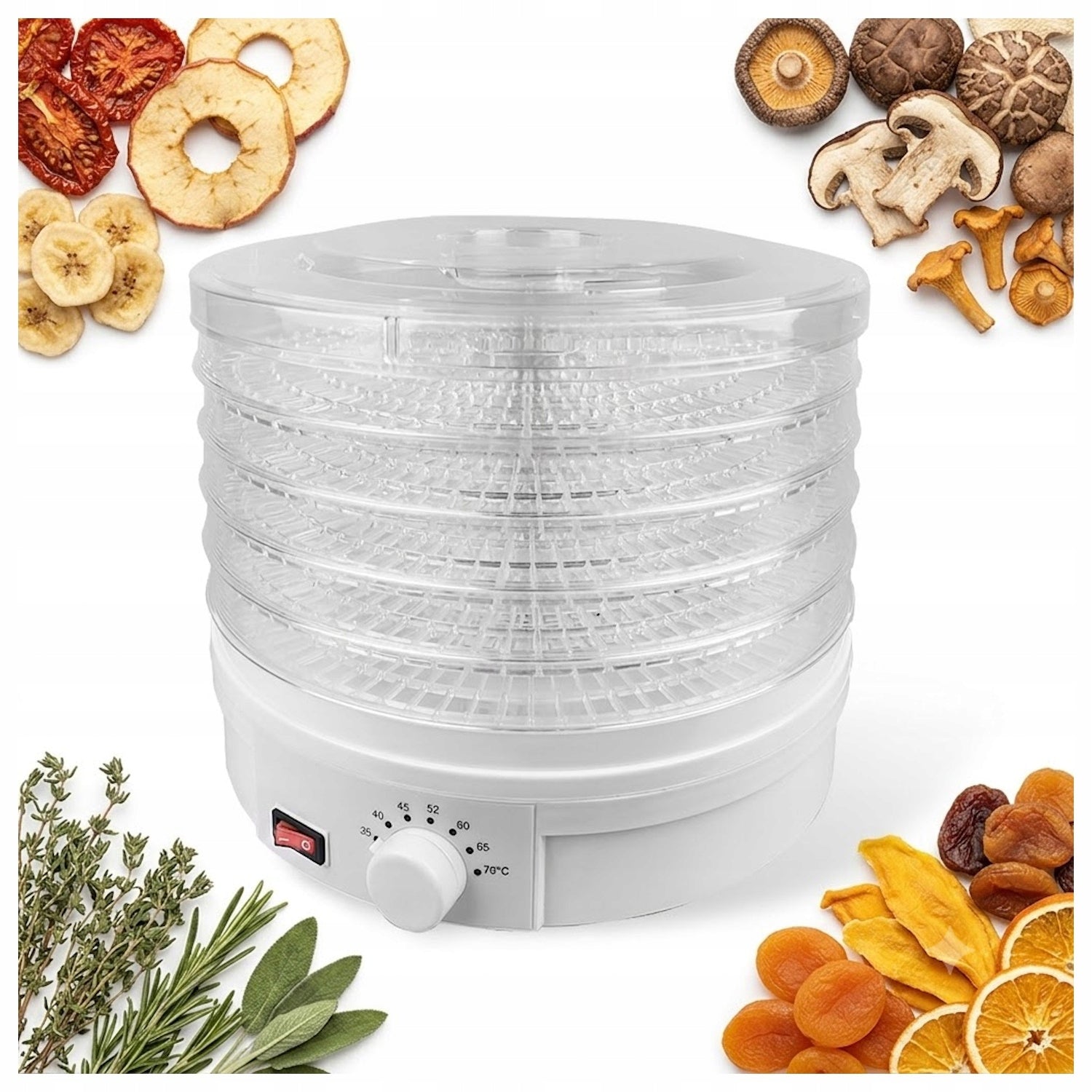 Solid Large Fruit Mushroom Dryer Herbs Maestro MR-765 245W 5 Sit