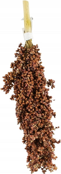 Sorghum-Dari 100g JR Farm Manufacturer code 104