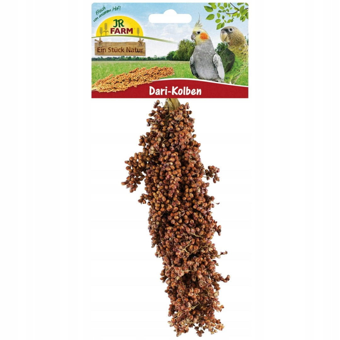 Sorghum-Dari 100g JR Farm