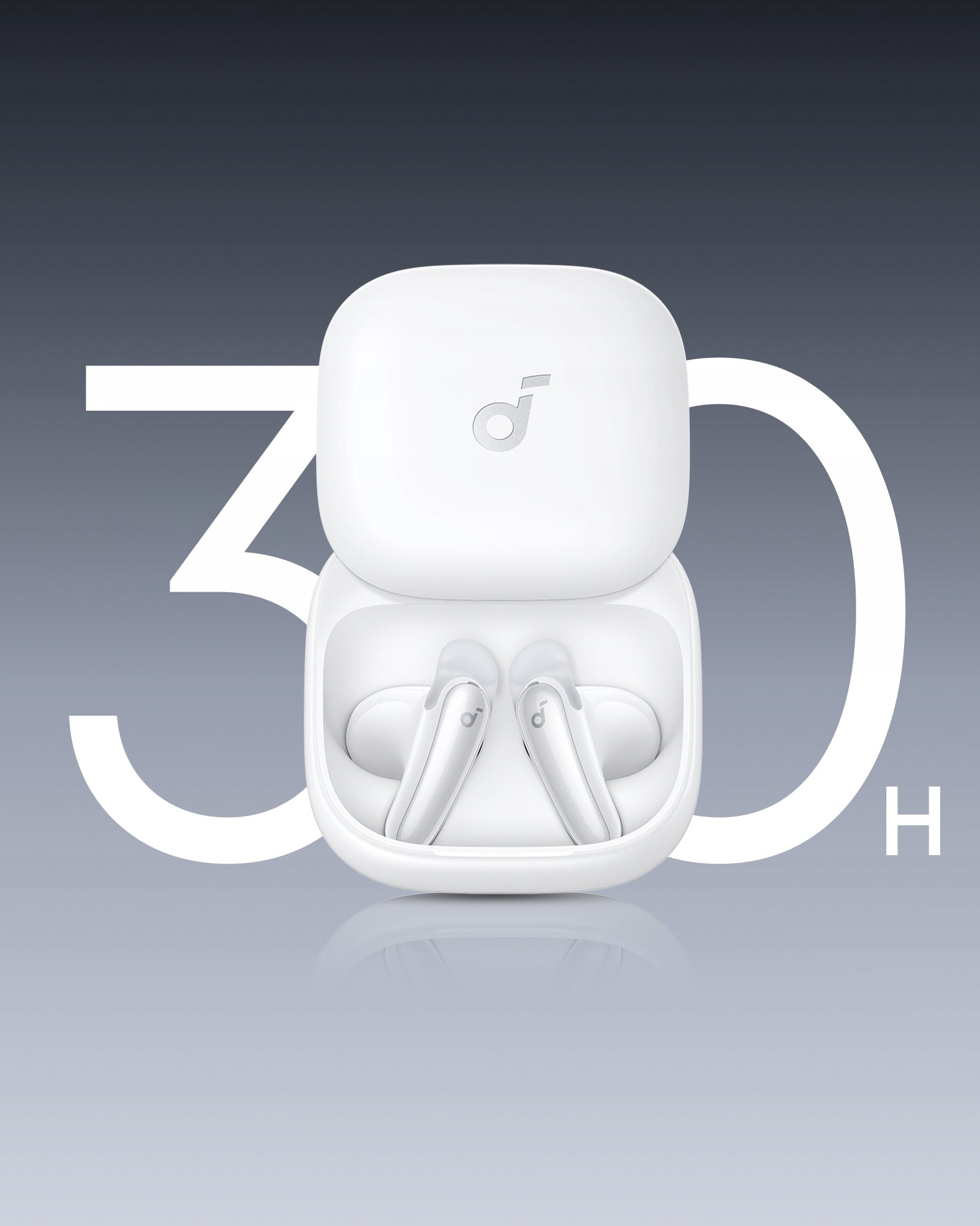 Soundcore Liberty Buds Wireless Earbuds Manufacturer code D1200G21