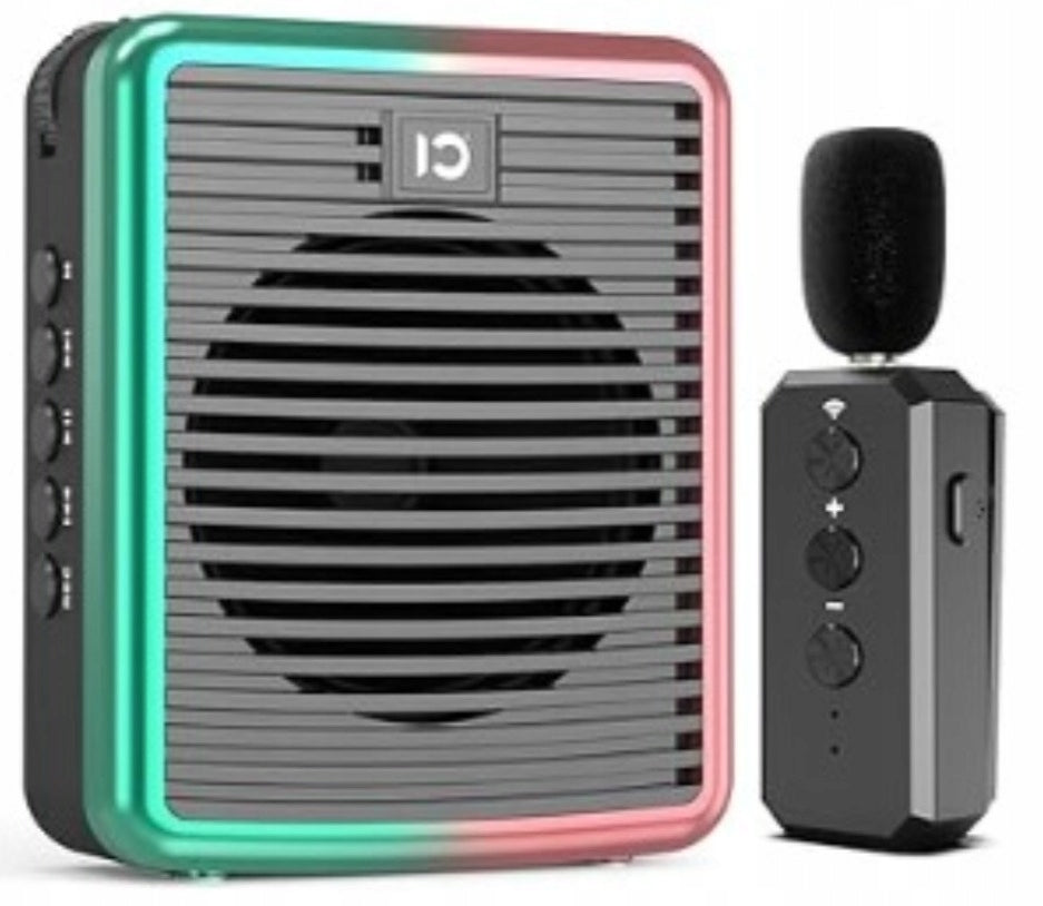 Speaker for guide, teacher, voice amplifier 10W, bluetooth 5.3,