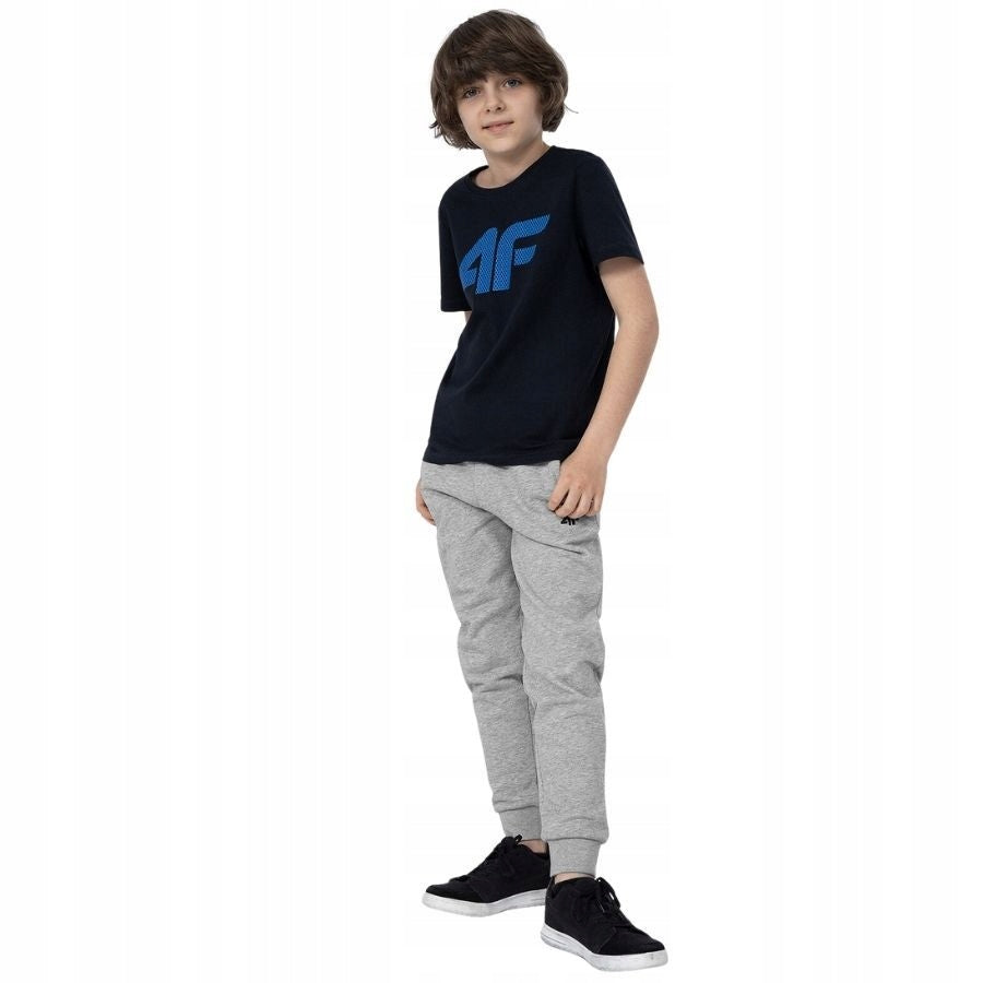 Sporthose für Jungen 4F, grau 