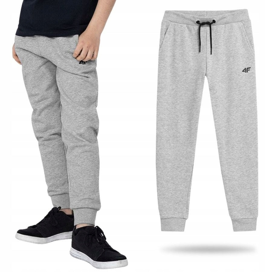 Sporthose für Jungen 4F, grau 