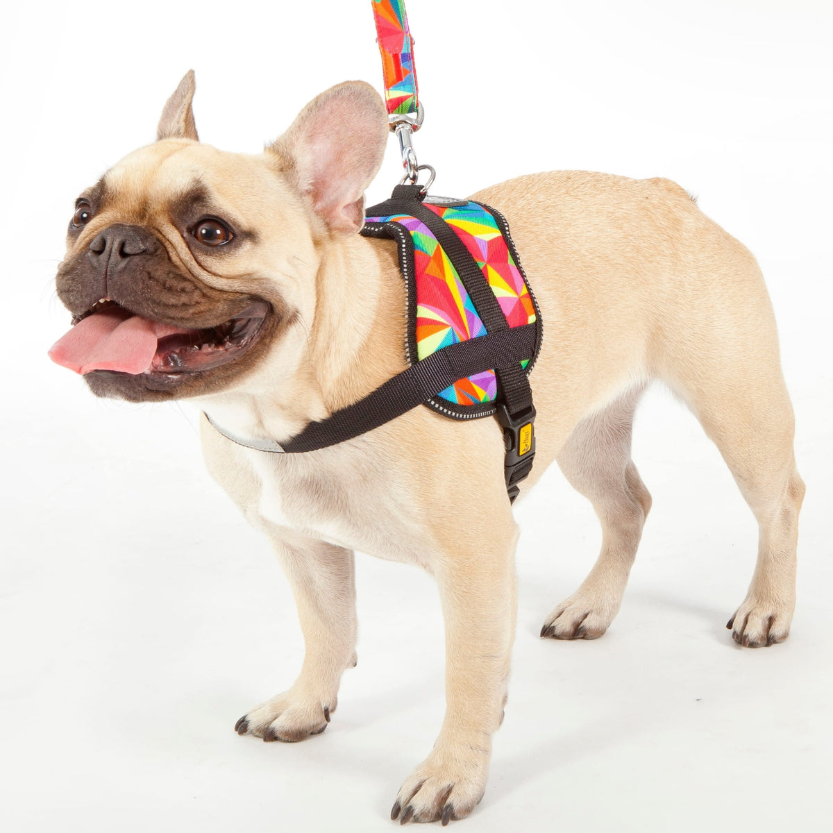 Sports harness Dingo 49 x 37 cm Manufacturer code 15811