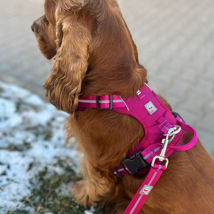 Sports leash for dog with shock absorber ADVENTURE for running black 1,8cm-L Material fabric