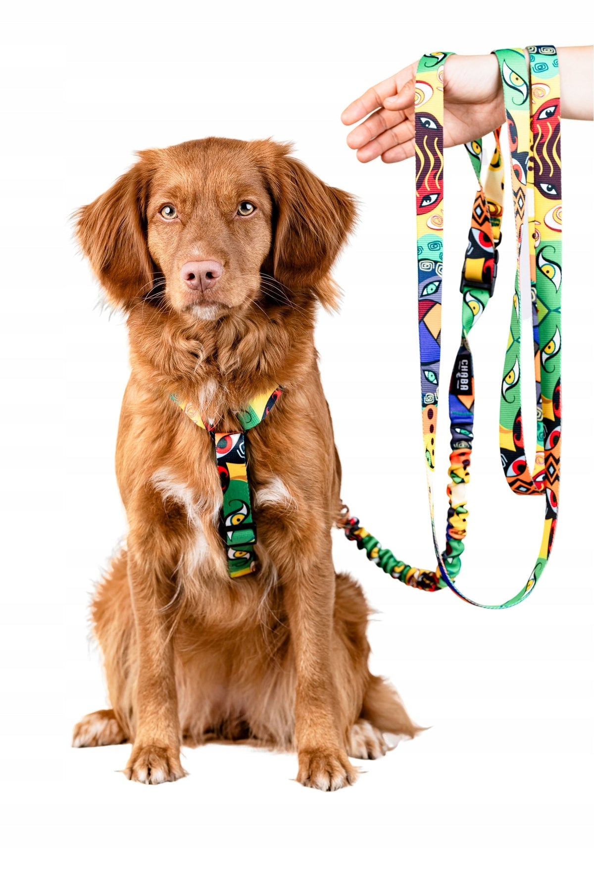 Sports running leash for medium dog with shock absorber CHABA JUMBO -M
