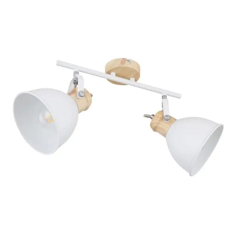 Sieninis šviestuvas Globo Lighting Wiho G54018-2