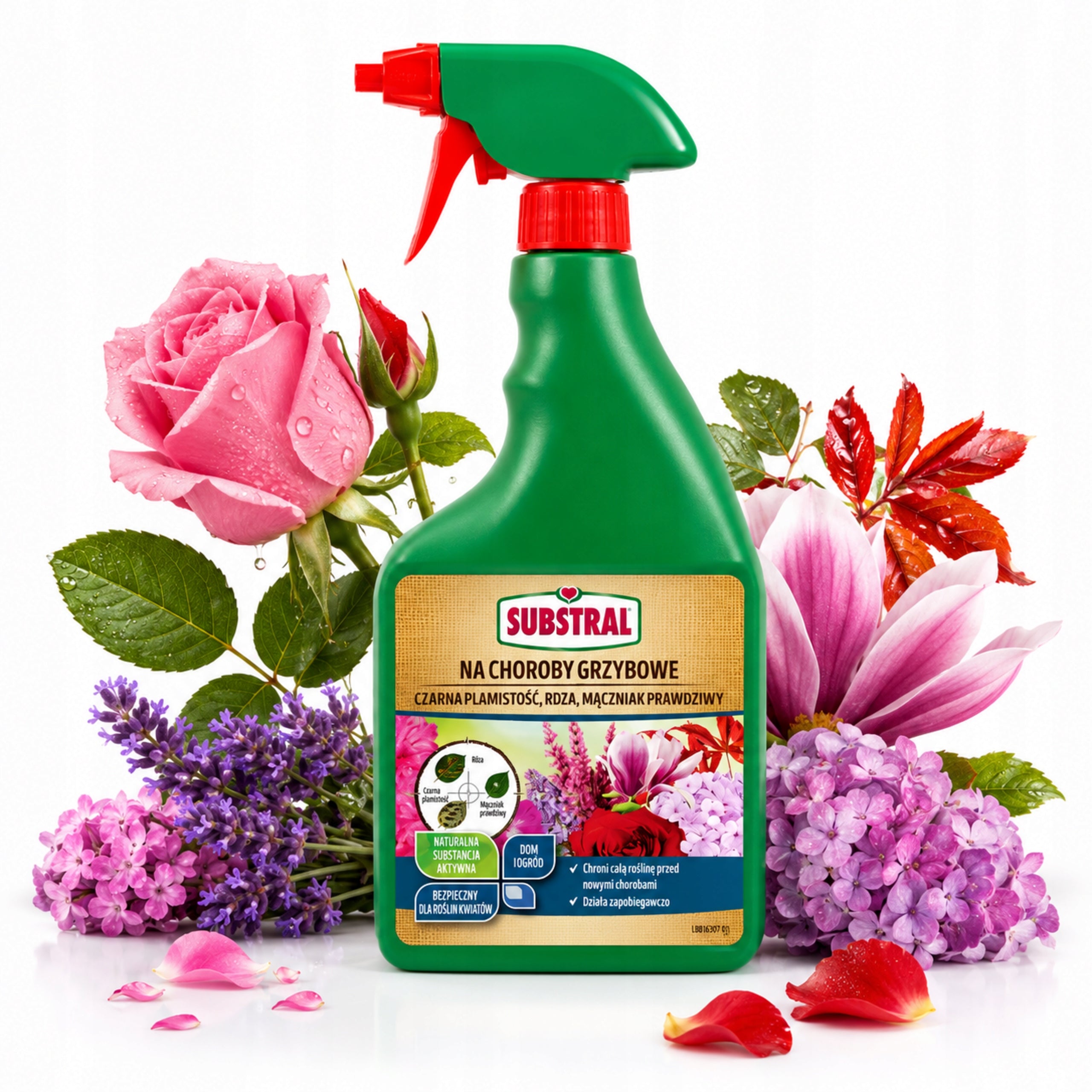 Spray for fungal diseases 750ml RTU Substral for powdery mildew rust and spotting