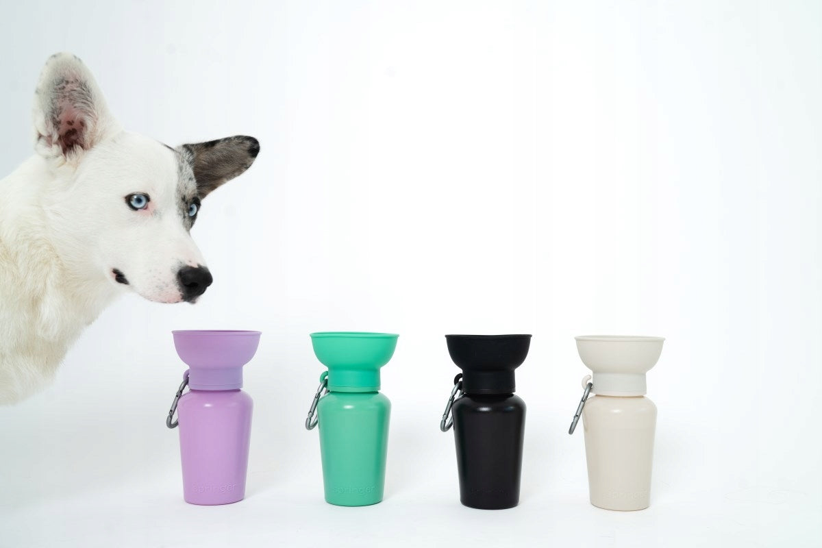 Springland dog bottle 590 ml Flip Travel Water Bottle Cherry/Sky Blue Capacity 0.59 l