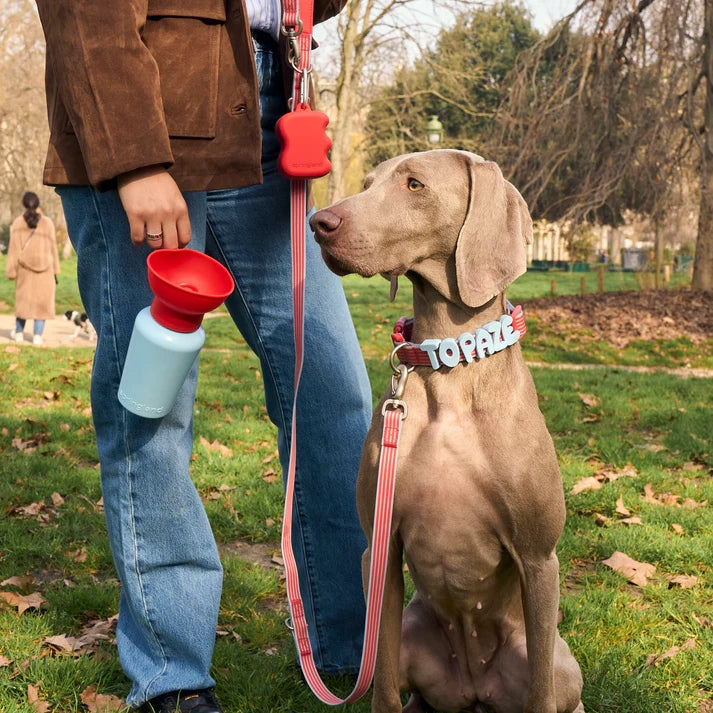 Springland dog bottle 590 ml Flip Travel Water Bottle Cherry/Sky Blue Manufacturer code FL2021-Cherry/Sky Blue