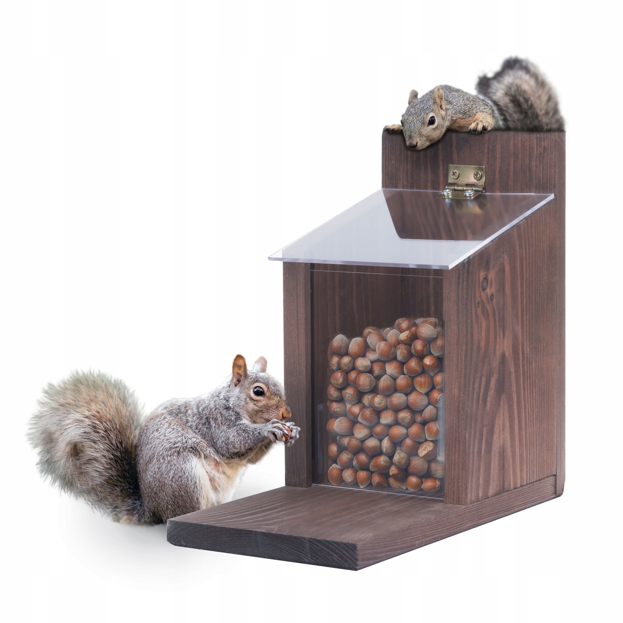 Squirrel Feeder Wooden House Impregnated Large Walnut Pantry
