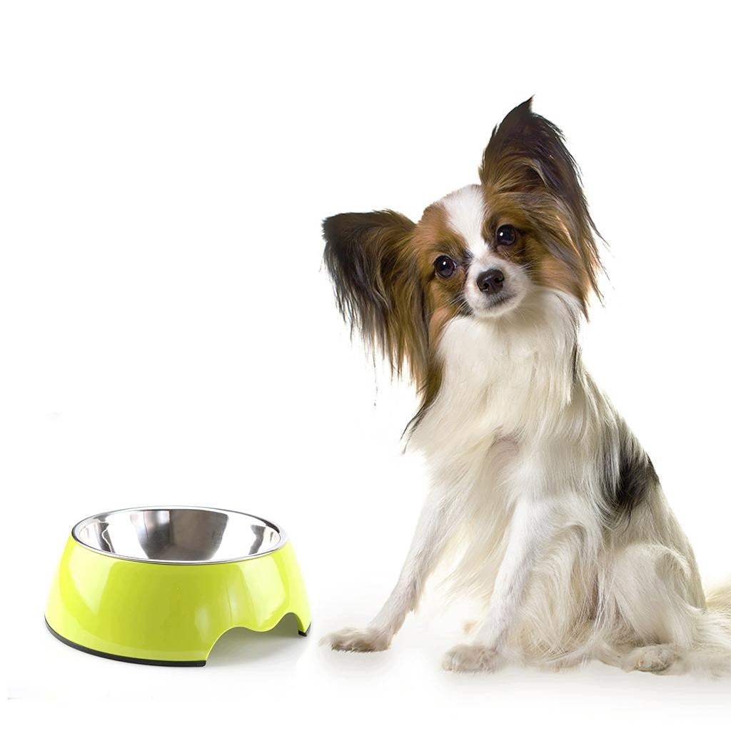 Stainless Steel And Melamine Bowls, Container Feeder Eating Light Green L Packaging status original