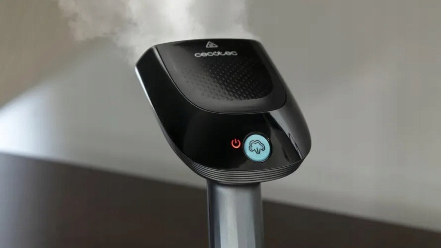 Steamer Fast&Furious 4040 Absolute Cecotec 1700W 35g/min Steamer EAN (GTIN) 8435484055185